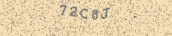 An error has occurred while getting captcha image