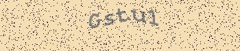 An error has occurred while getting captcha image